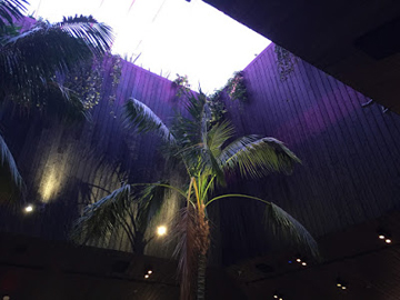 Photo: Retractable roof Photo credit: Paul Petrella.