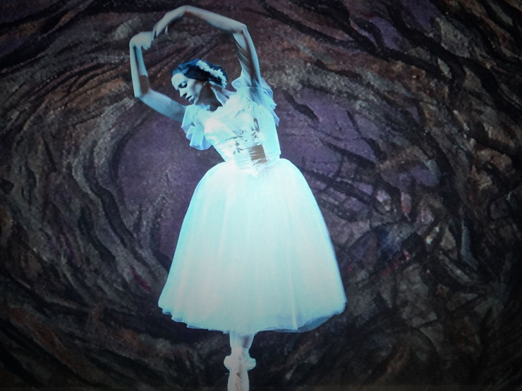 “Giselle” Amaya Rodriguez.<br>Photos By Gabriel Gomez & Jacqueline Solorzano.