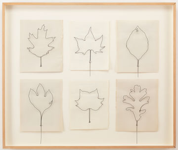 Eric Rhein, Fly Leaves, wire and paper.