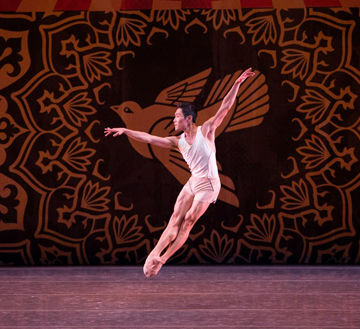 Heatscape by Miami City Ballet. (Photo by Daniel Azoulay)