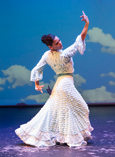 Ballet Flamenco Rosa.