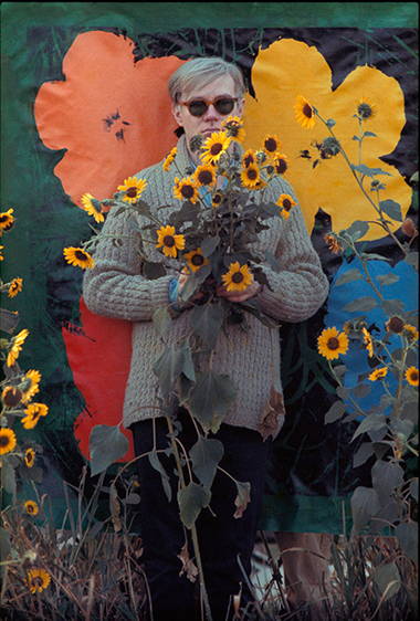 Warhol Flowers IV, photographed by William John Kennedy, now on display through March 8 at Metroquadro Miami, Wynwood.