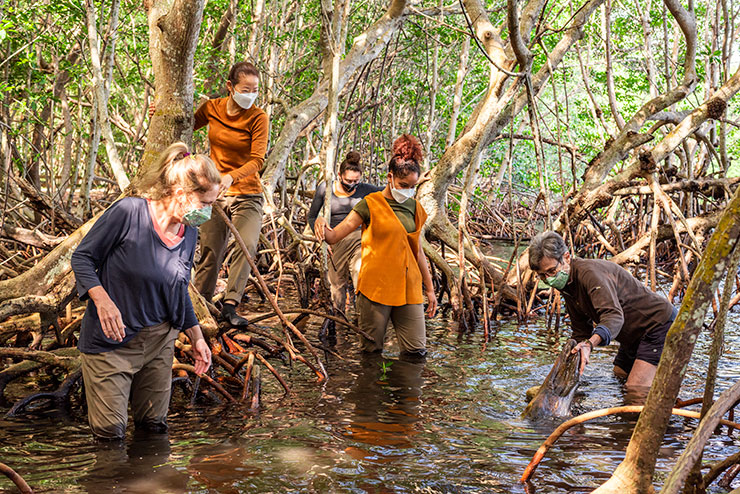 Because dance studios were closed during COVID-19, Dale Andree and dancers went to the mangroves.