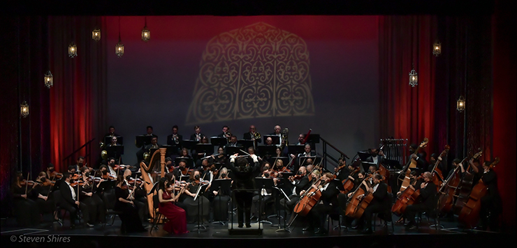 The South Florida Symphony Orchestra. (Photo by Steve Shires Photography)