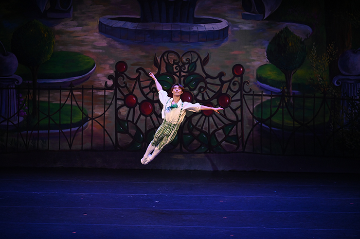 Dancer Ataru Matsuzawa (Chipollino) leaps in the ballet 