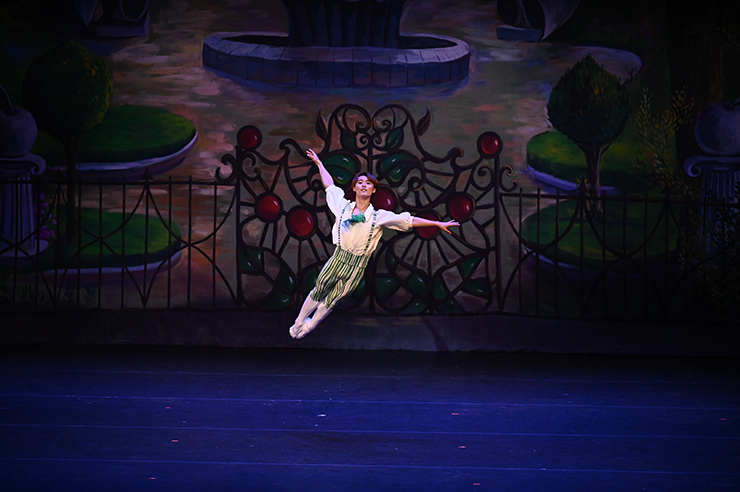 Dancer Ataru Matsuzawa (Chipollino) leaps in the ballet