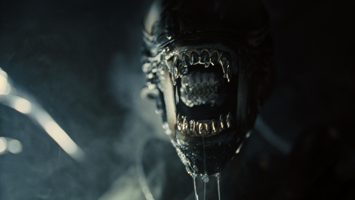 Xenomorph in a scene from