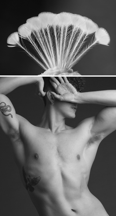 “Serpent, Dove, Crown” from 