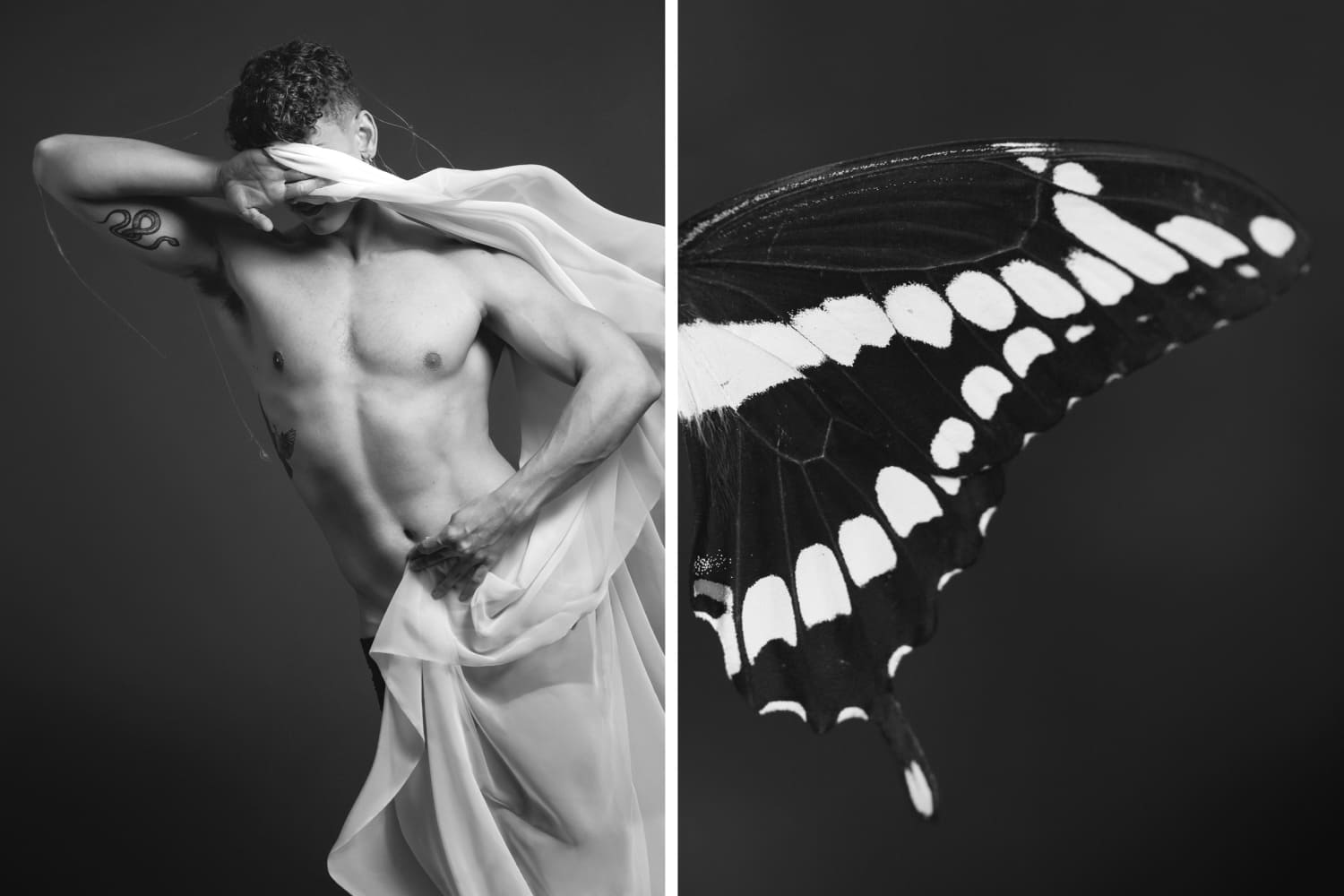 “Creation” from 