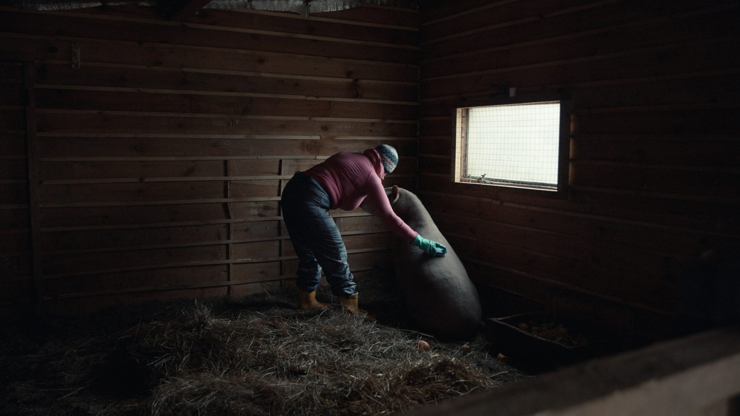 A keeper at Feldman EcoPark takes care of a tapir. (Photo courtesy of the film)