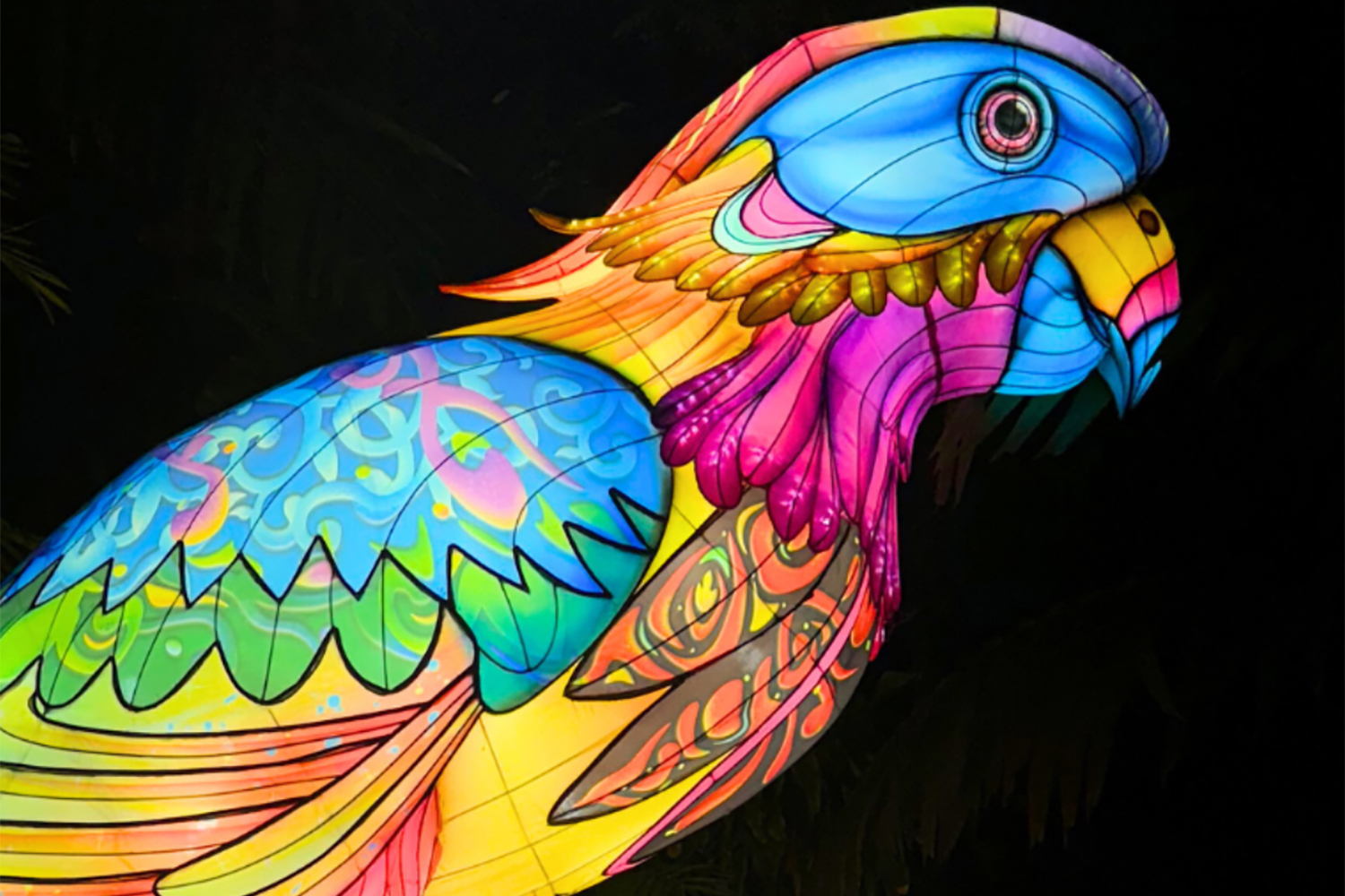 Towering capybara lanterns illuminate the “Colorful Amazon.” (Photo courtesy of Jungle Island)