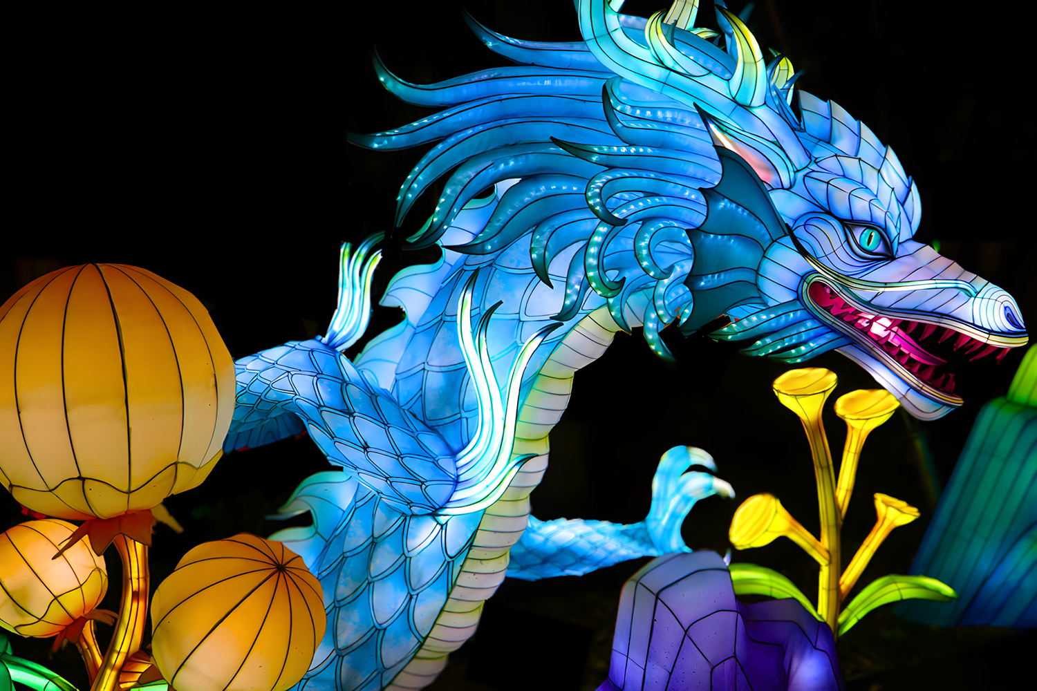 A 43-foot Chinese dragon that anchors the “Gateway of the Dragon Emperor.” (Photo courtesy of Jungle Island)