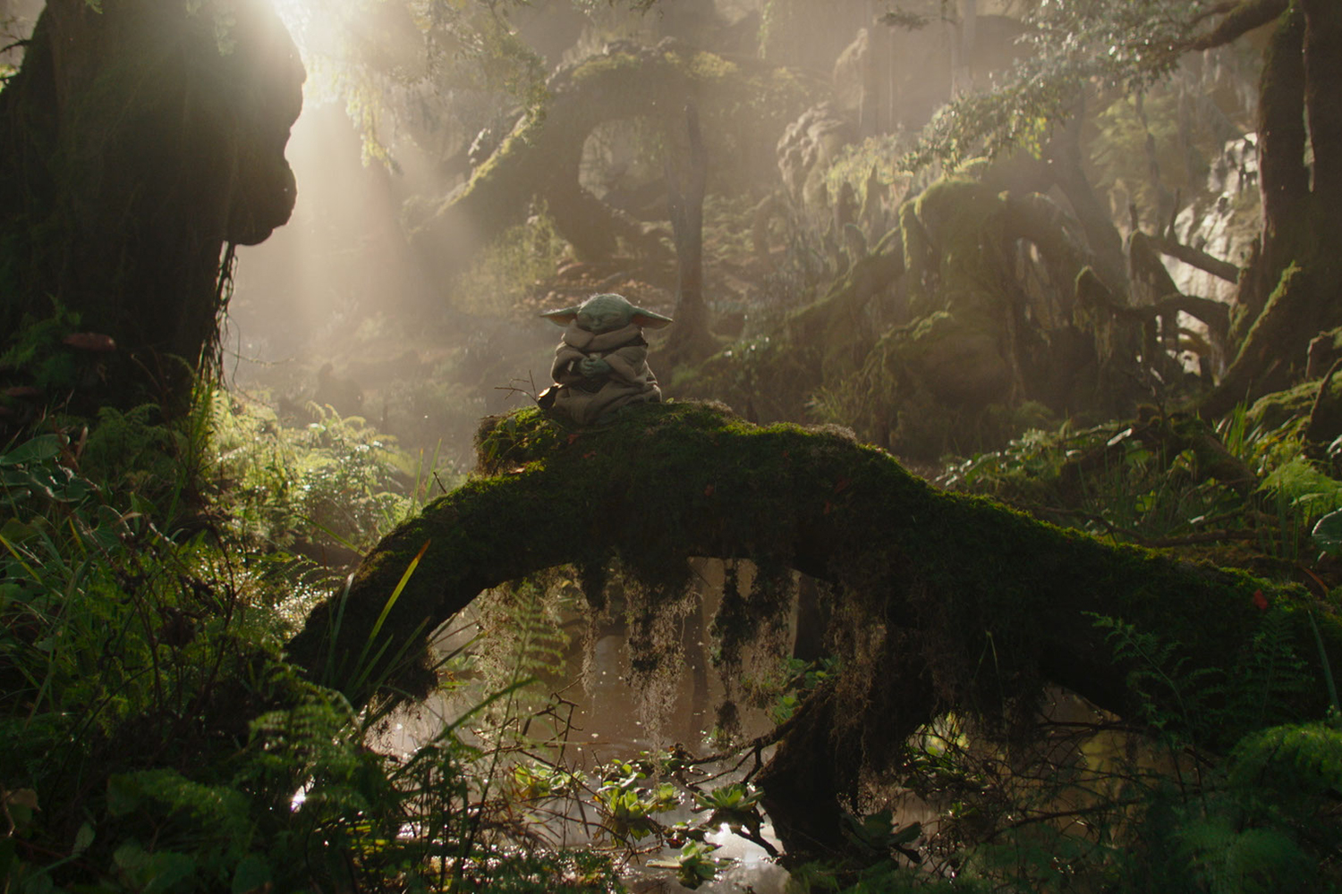 Grogu, voice designed by David Acord, in a scene from 