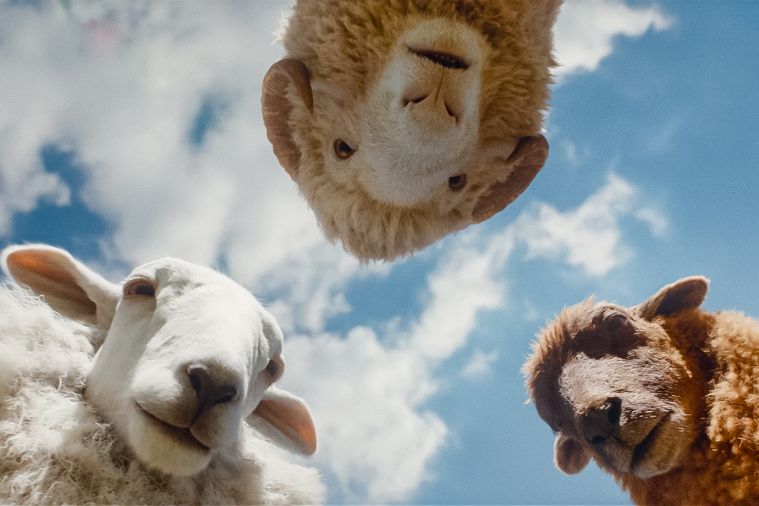 Cloud, voiced by Regina Hall, Mopple, voiced by Chris O'Dowd, and Lily, voiced by Julia Louis-Dreyfus, in a scene from 