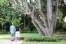Attendees are able to enjoy the lush beauty of Miami Beach Botanical Gardens prior to performance