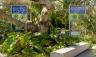 Vignette of pictures taken around Miami Beach Botanical Gardens