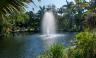 Vignette of pictures taken around Miami Beach Botanical Gardens